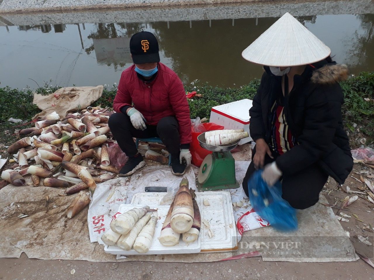 Thứ rau rừng đặc sản này xuống phố giá bán đắt đỏ, sau Tết dân phố vẫn đổ xô mua