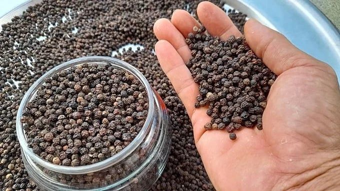 Giá tiêu hôm nay 22/5/2026: Duy trì ổn định