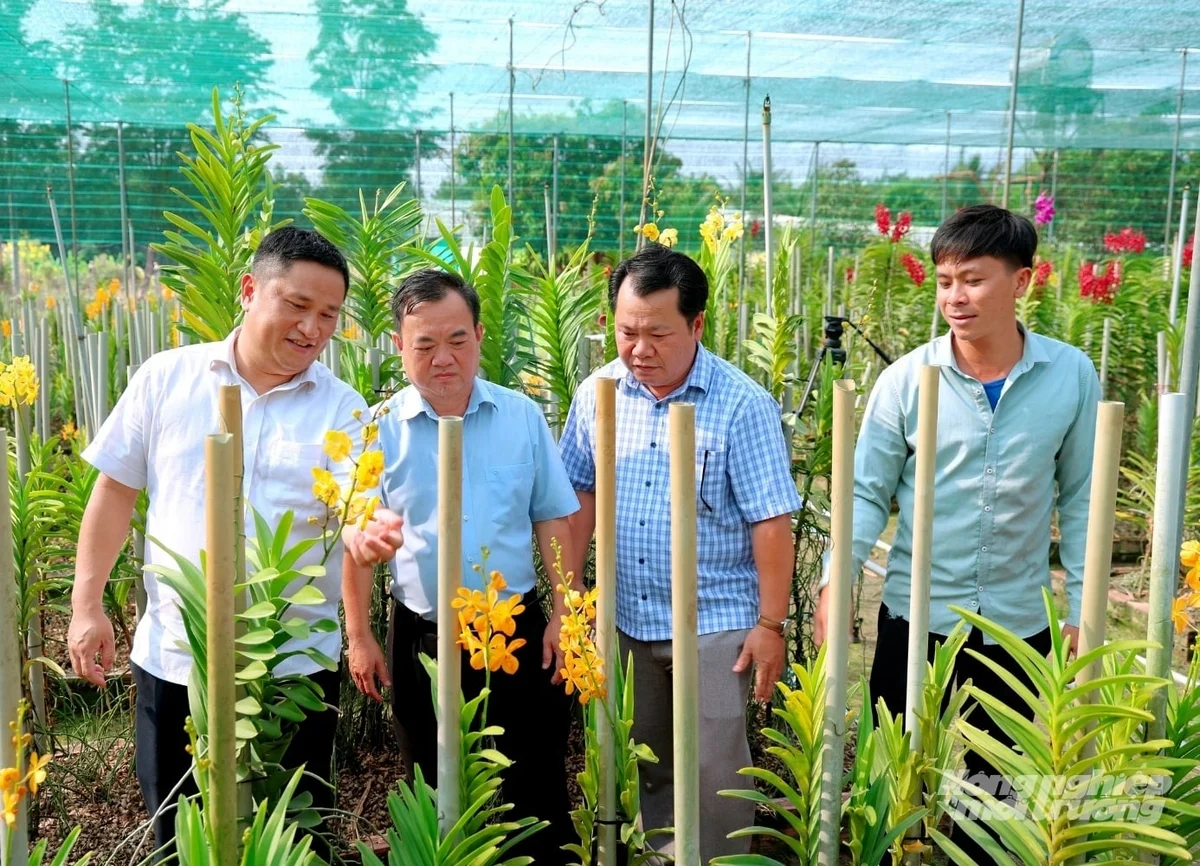 Sức bật từ những mô hình chuyển đổi nông nghiệp hiệu quả