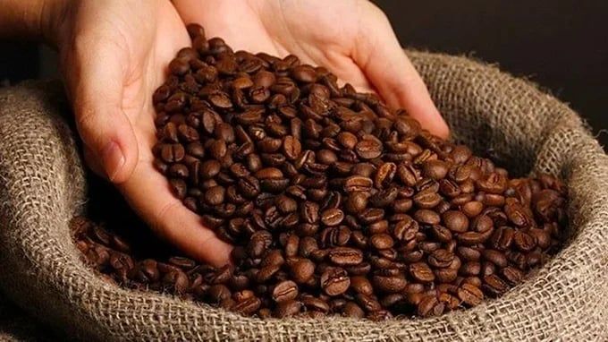 Giá cà phê hôm nay 23/5/2026: Thế giới trái chiều, trong nước tăng