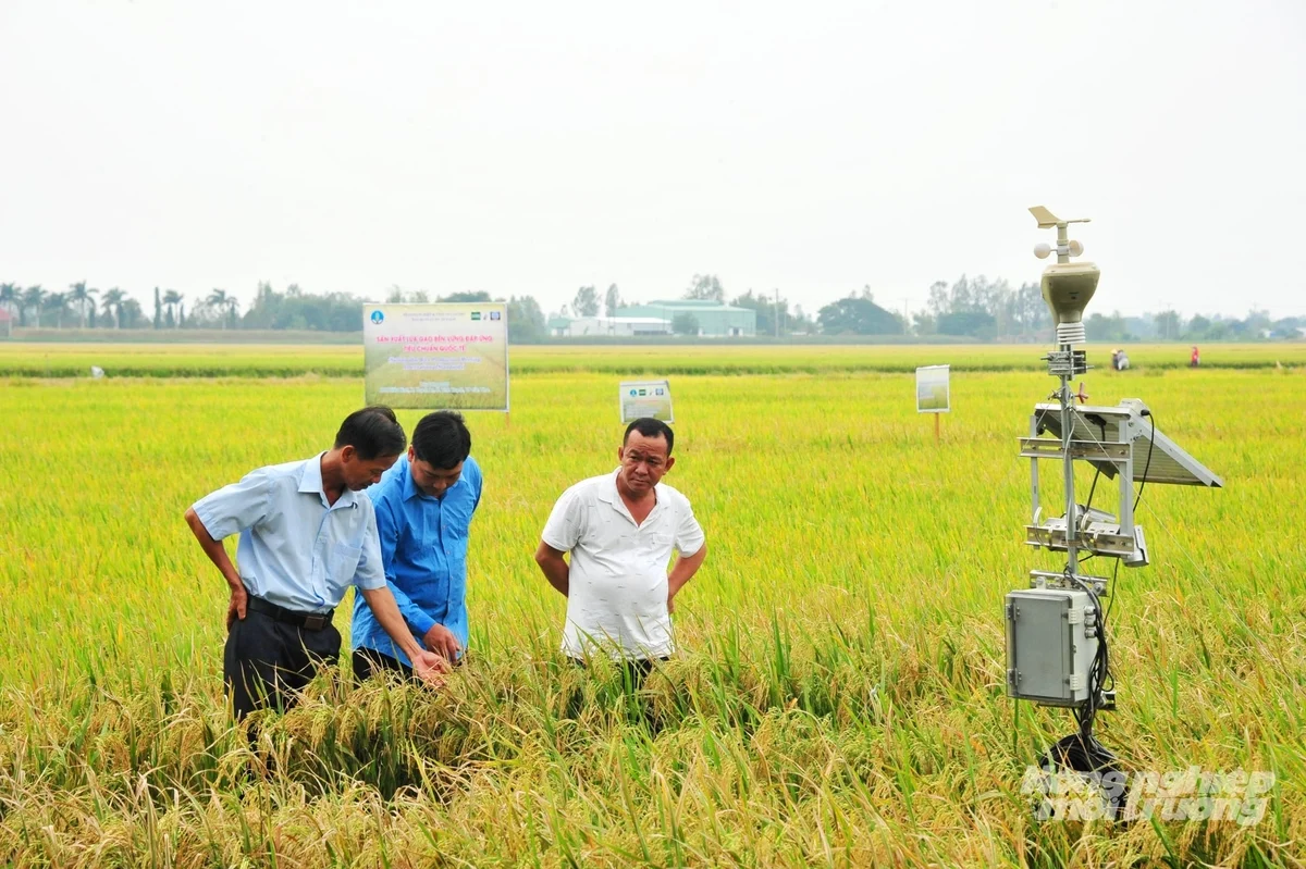 Nông nghiệp ĐBSCL bước vào kỷ nguyên không cần nhiều sức người