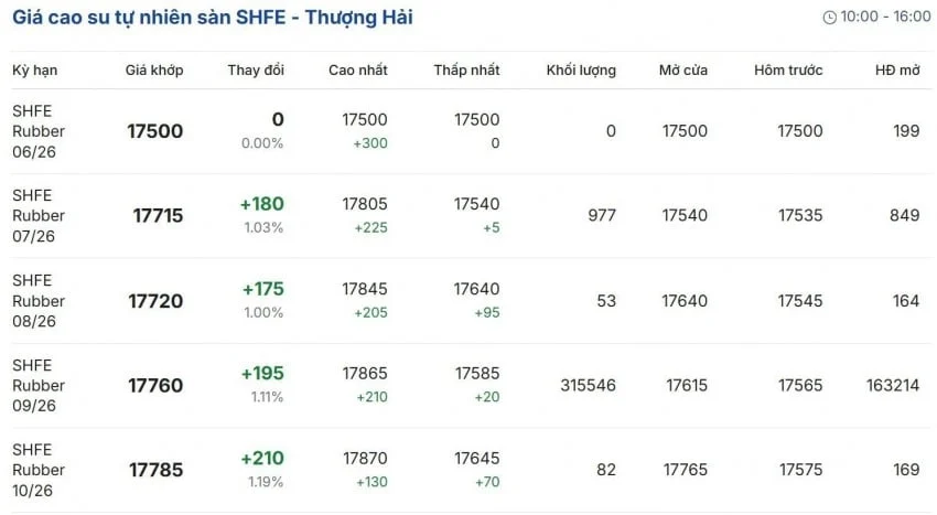 Giá cao su hôm nay 16/6/2026: Xu hướng tăng