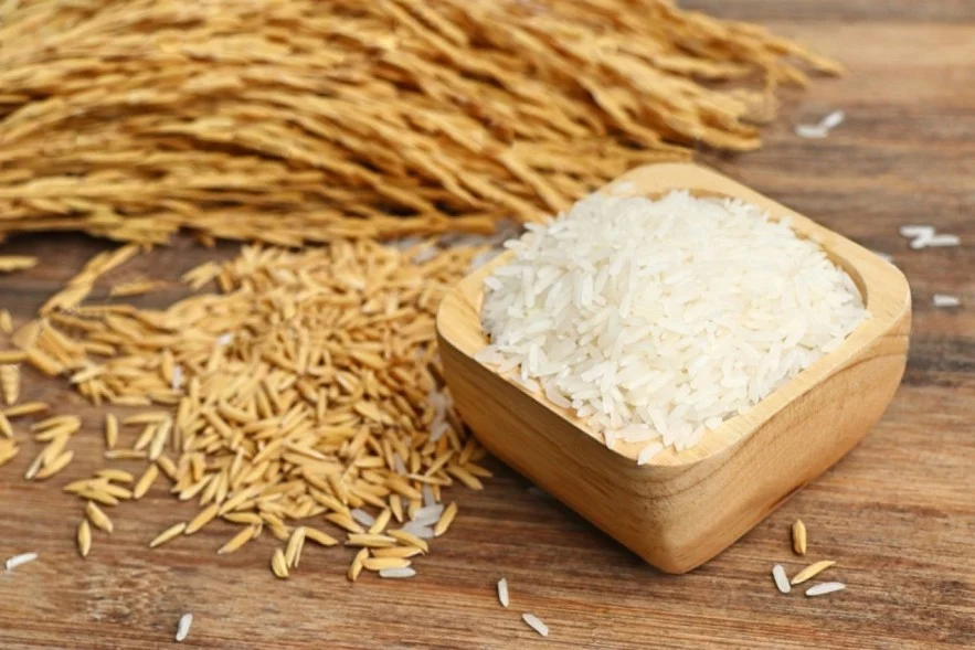 Giá lúa gạo hôm nay 21/6/2026: Duy trì ổn định