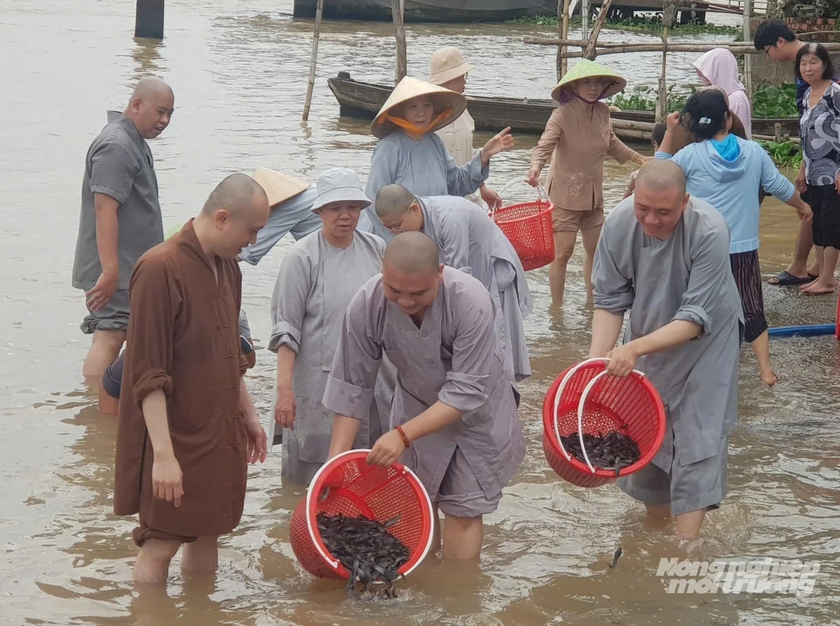 Thả 2 tấn cá giống xuống sông Hậu