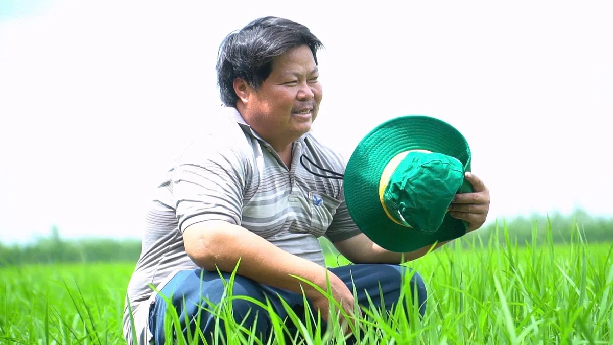 Làm giàu nhờ đổi mới tư duy trên vùng đất phèn