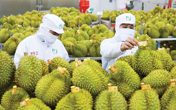 Nông sản Việt còn nhiều cơ hội bứt phá tại thị trường Trung Quốc