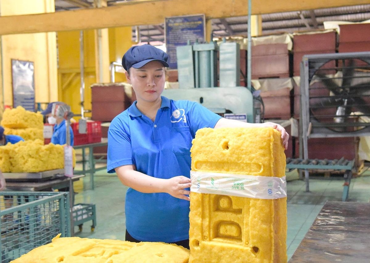 Giá cao su neo cao, xuất khẩu vẫn chịu sức ép