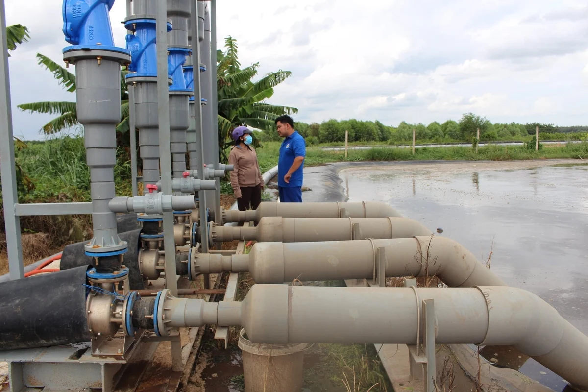 Sắn vào chu kỳ giá: [Bài 2] Chuyển đổi xanh nâng sức cạnh tranh