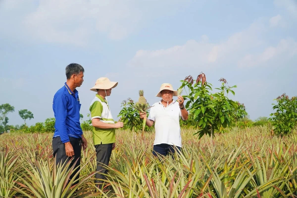 Phê duyệt Chương trình phát triển kinh tế tập thể đến năm 2030