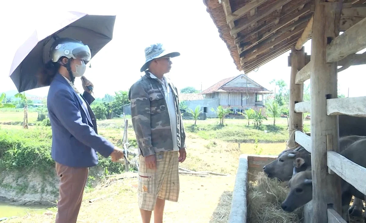 'Con trâu là đầu cơ nghiệp'