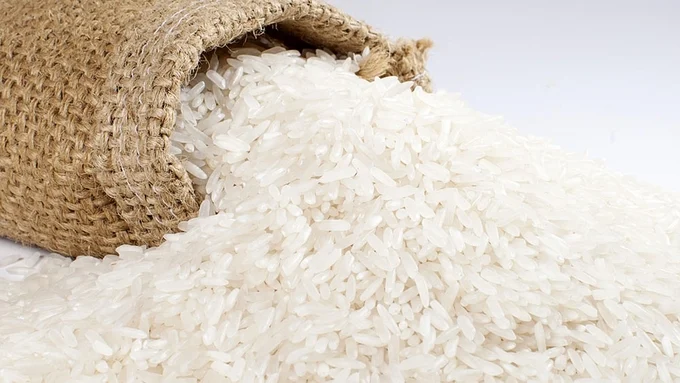 Giá lúa gạo hôm nay 5/9/2026: Thị trường ổn định trở lại
