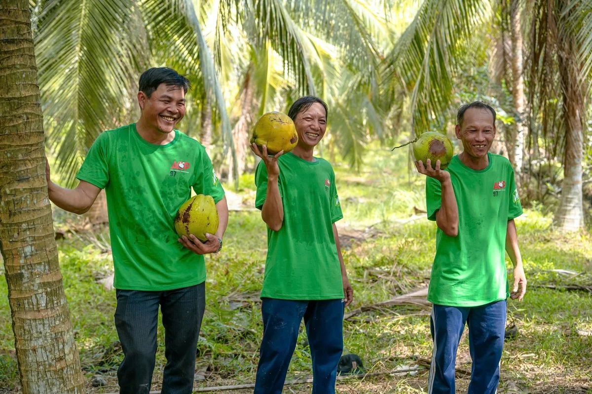 AIG rót 9 tỷ đồng nâng cao chất lượng vùng nguyên liệu dừa