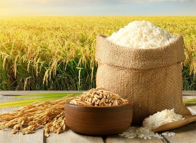 Giá lúa gạo hôm nay 23/9/2026: Lúa tươi tăng, gạo nguyên liệu giảm nhẹ