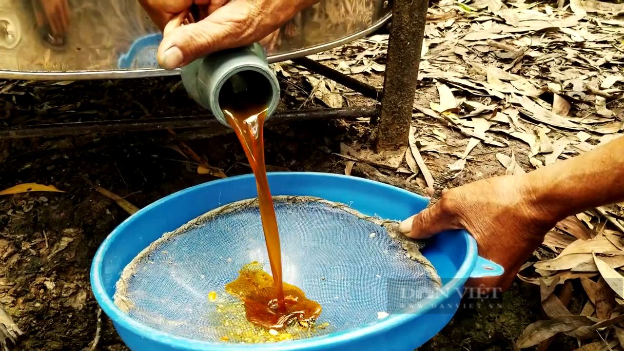 60.000 tấn mật ong đang lo bí đầu ra vì một thói quen của người Việt