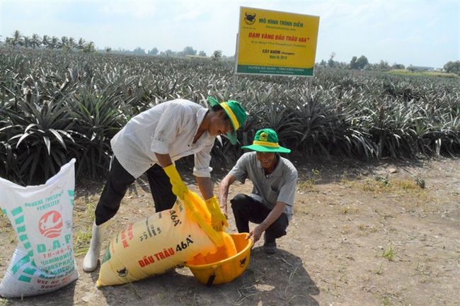 Nga - Trung Quốc cùng hạn chế xuất khẩu một sản phẩm quan trọng, Bộ Nông nghiệp Mỹ ra ngay khuyến cáo