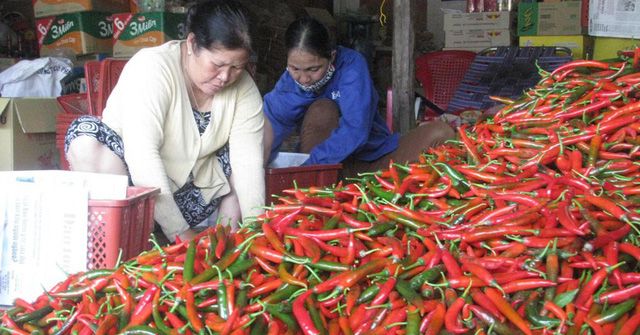Bán sang Trung Quốc theo đường chính ngạch và tăng chế biến, giá thứ quả trồng nhiều ở Tây Nguyên tăng gấp ba