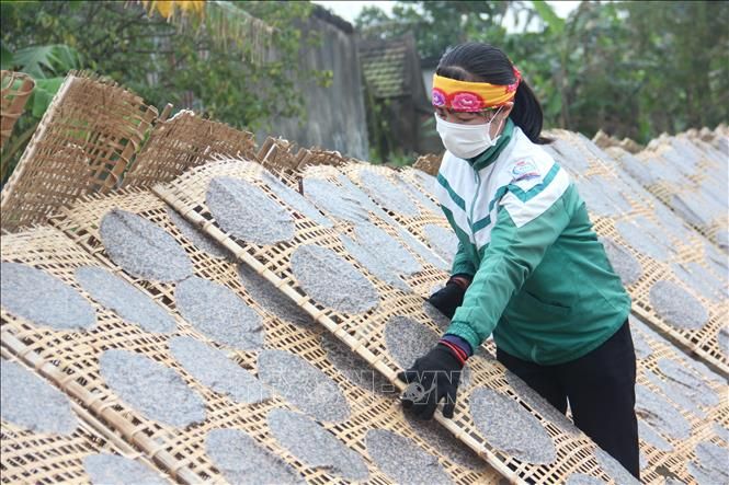 Nông sản Hà Tĩnh xuất ngoại và lên kệ siêu thị