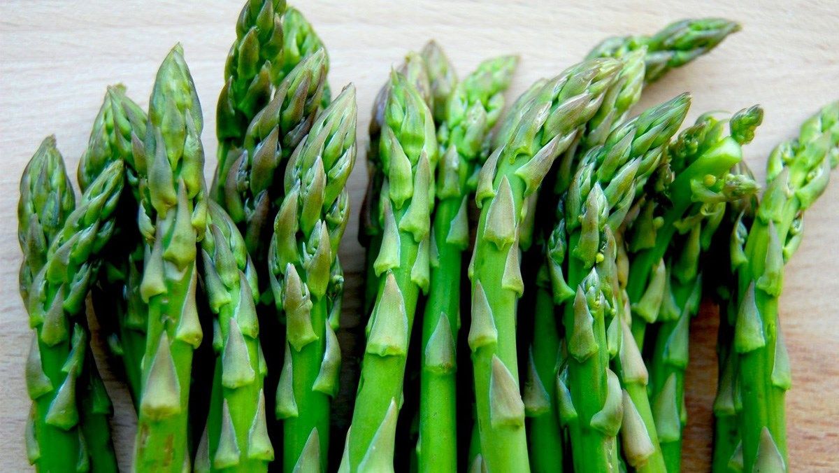 Cách Trồng Cây Măng Tây Xanh (asparagus)
