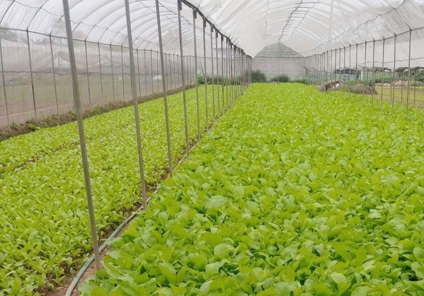 Chuyển đổi số - bước đột phá nâng giá trị nông sản