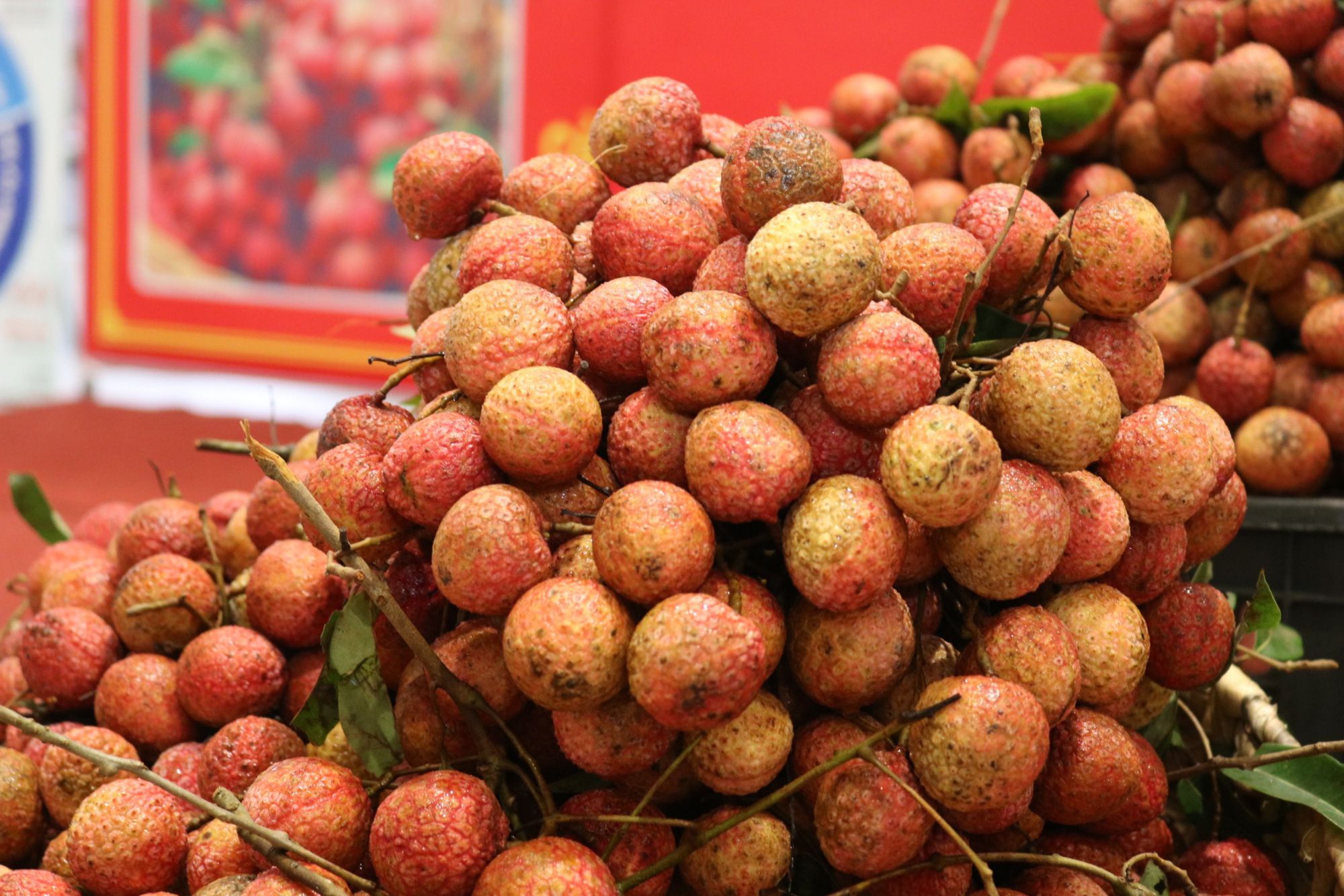 Bình Phước thúc đẩy tiêu thụ nông sản