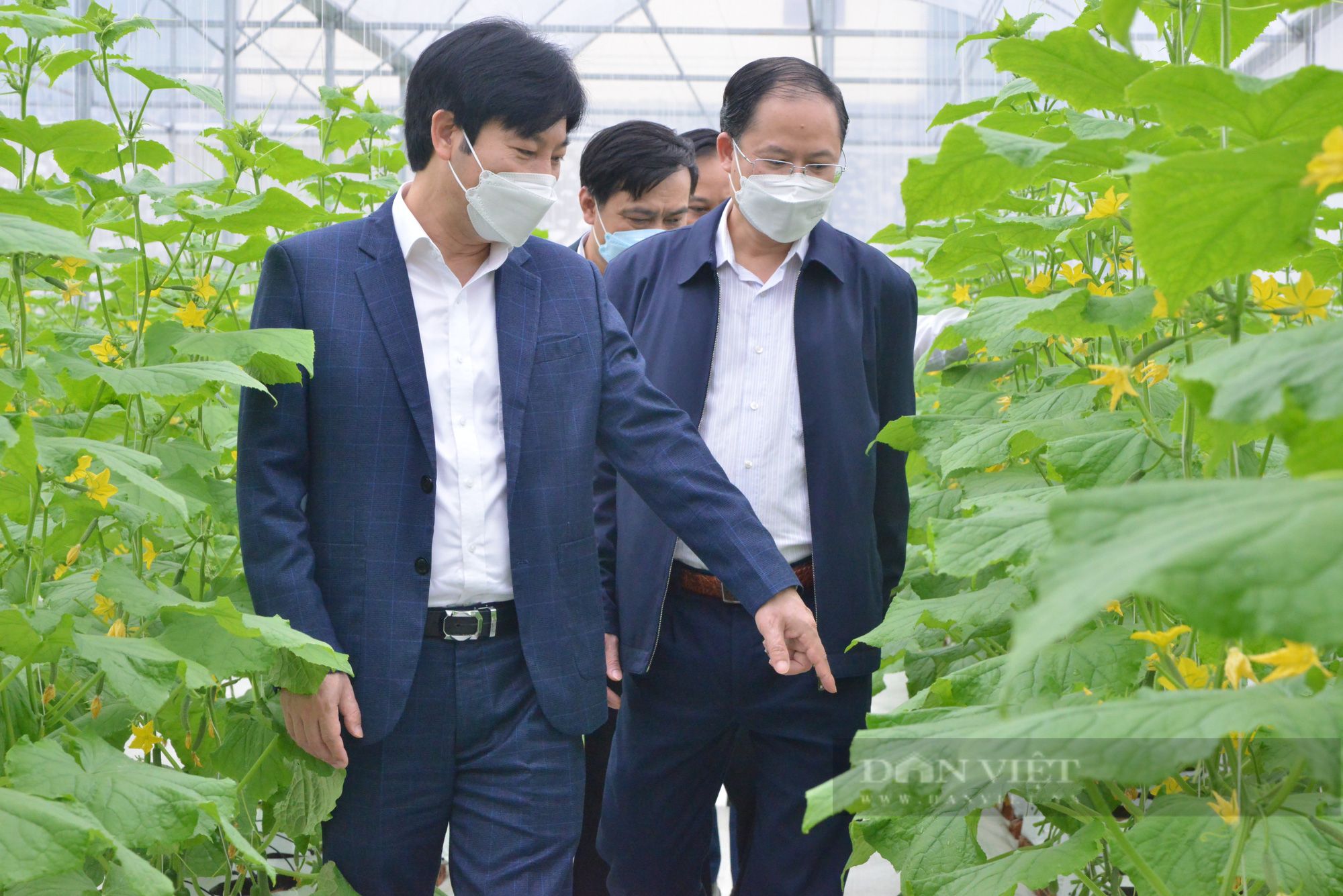 Hội Nông dân tỉnh Bắc Ninh tiêu thụ hàng nghìn tấn nông sản cho hội viên trong đại dịch