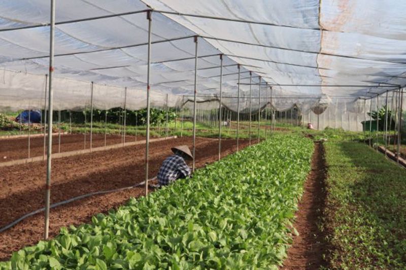 Những rào cản khi chuyển đổi số trong nông nghiệp (Kỳ 2)