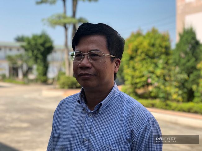Giá thức ăn chăn nuôi tăng ít nhất 15%, nông dân lỗ sặc gạch, tính đường chủ động 50% nguyên liệu