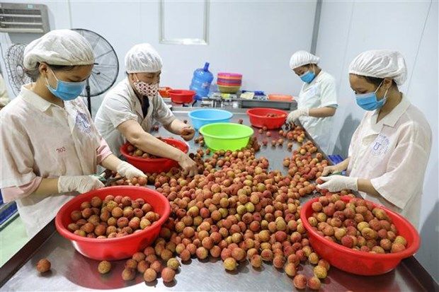 Chia sẻ kinh nghiệm xúc tiến xuất khẩu nông sản sang Nhật Bản