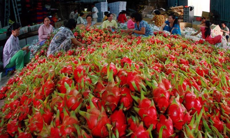 Chuyển hướng xuất khẩu nông sản không dễ