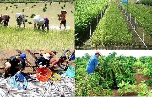 Quý I/2022, Covid-19 ảnh hưởng lớn đến sản xuất và tiêu thụ nông sản