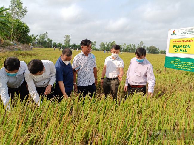 ThaiBinh Seed: Bảo vệ thành công dự án chọn tạo giống lúa chất lượng, 3 giống lúa nào được chính thức lưu hành?