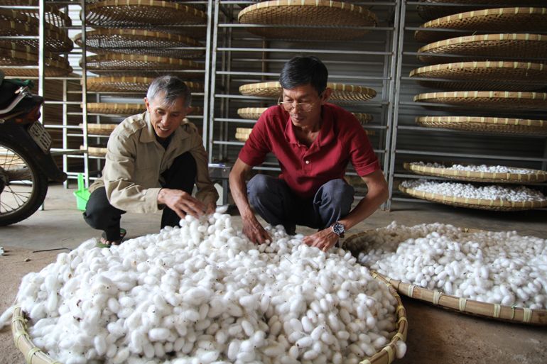 Trung Quốc, Ấn Độ ưa chuộng, thị trường xuất khẩu 