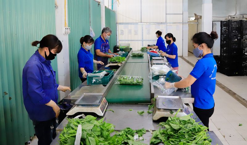 Tập trung phát triển công nghiệp chế biến nông sản