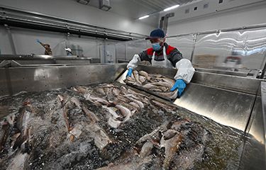 Hàn Quốc: Giá nông sản, gia súc và thủy, hải sản nhập khẩu tăng mạnh