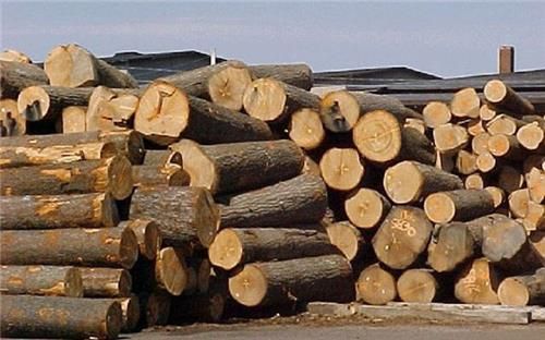 Mỹ thích nhất điều gì ở một sản phẩm thế mạnh của Việt Nam mà chi ngay 2 tỷ USD để mua?