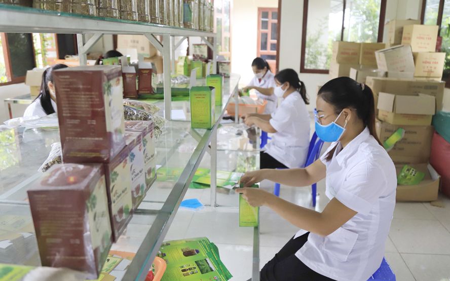 Thúc đẩy phát triển nông sản bản địa