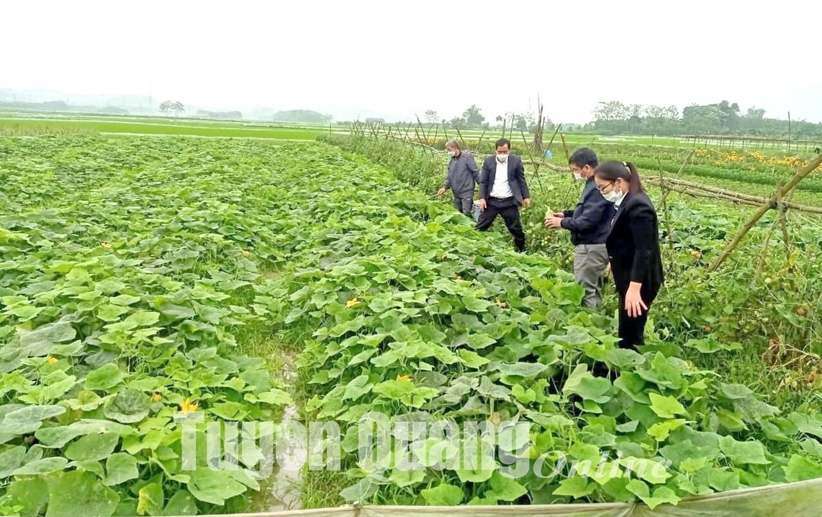 Tiêu dùng nông sản an toàn