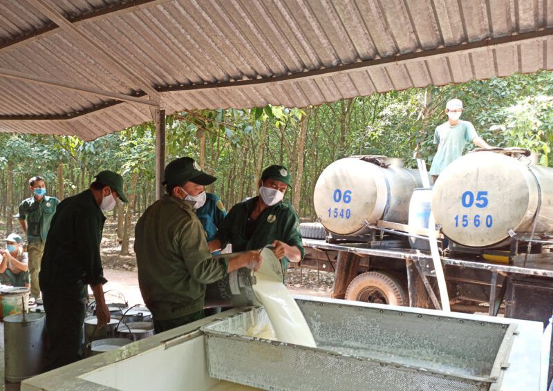 Trung Quốc tăng tốc mua đến 90% một loại nông sản của Việt Nam với giá cao, sao nhà máy vẫn đóng cửa nghỉ sớm?