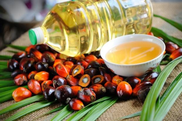 Indonesia đột ngột cấm xuất khẩu dầu cọ, dầu ăn với thời hạn không xác định