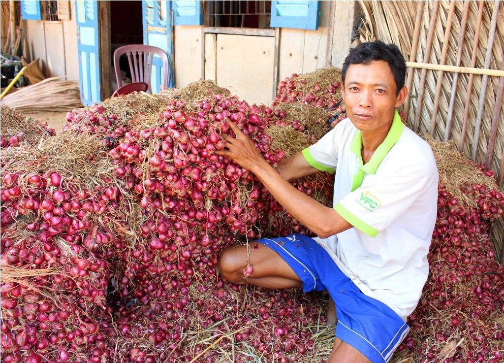 Việt Nam bán nhiều nhất một thứ củ cay xè, thơm nồng cho thị trường Đài Loan, 3 tháng thu 10 triệu USD