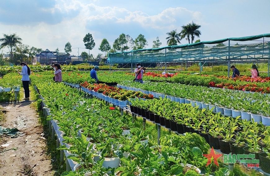 Đồng hành cùng hợp tác xã, doanh nghiệp vừa và nhỏ thúc đẩy tiêu thụ nông sản nội địa