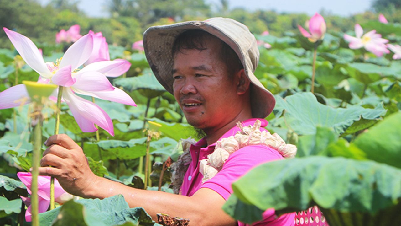Lễ hội sen tại Đồng Tháp sẽ xác lập kỷ lục mấy trăm món ăn chế biến từ sen?
