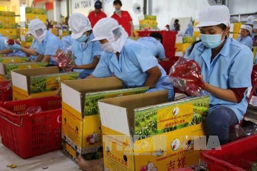 Doanh nghiệp Việt: Mơ ước tạo thương hiệu cho nông sản chế biến