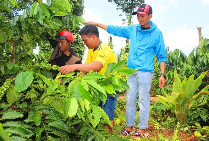 Người nông dân Tây Nguyên mong gửi gắm tâm tư tới Thủ Tướng
