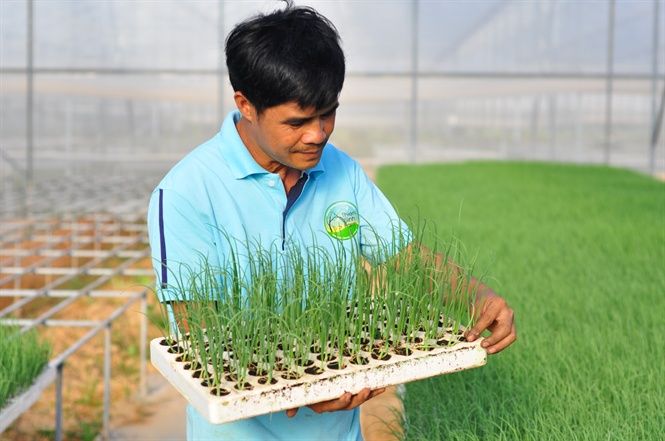 Nông nghiệp hữu cơ hội nhập thị trường