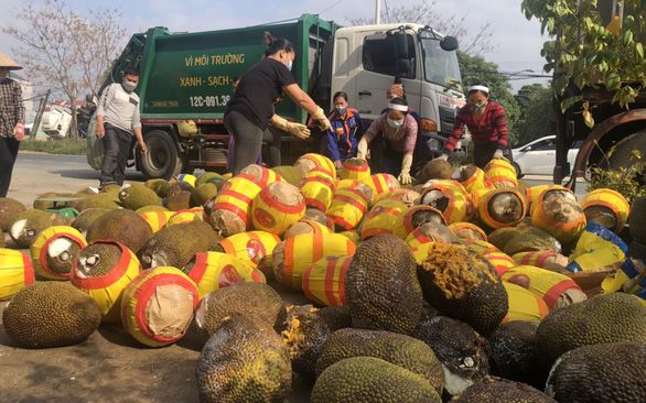 Giá mít Thái hôm nay, 24/5: Tỉnh Hậu Giang mời gọi doanh nghiệp đầu tư chế biến mít Thái xuất khẩu