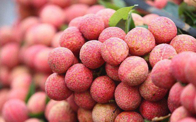 Trái vải thiều Bắc Giang 2022 ngon nhất từ trước tới nay, 40% sản lượng dành cho xuất khẩu
