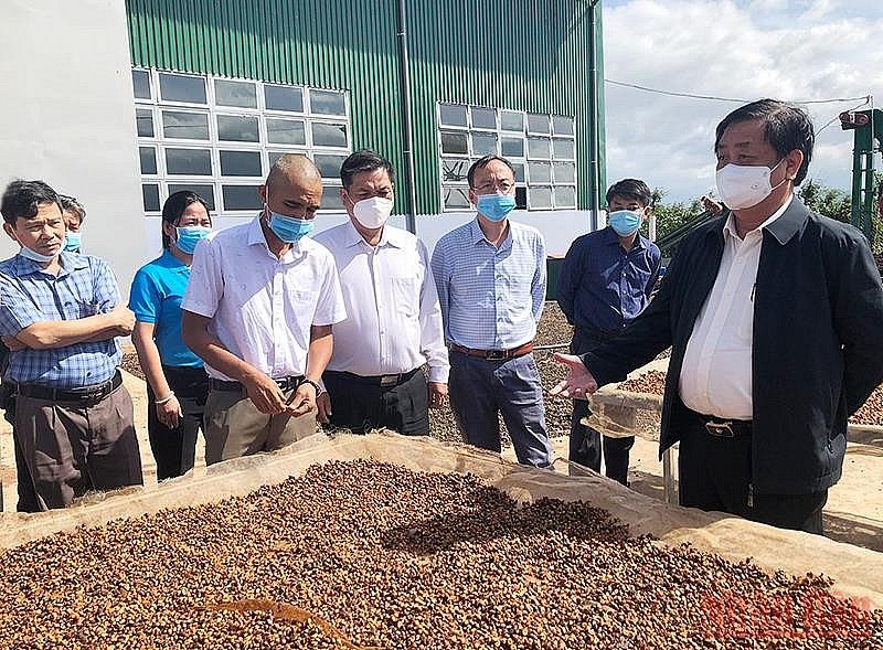 Nâng tầm vị thế cho nông sản vùng Tây Nguyên