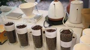 Cà phê cảnh quan tạo khác biệt cho nông nghiệp Tây Nguyên