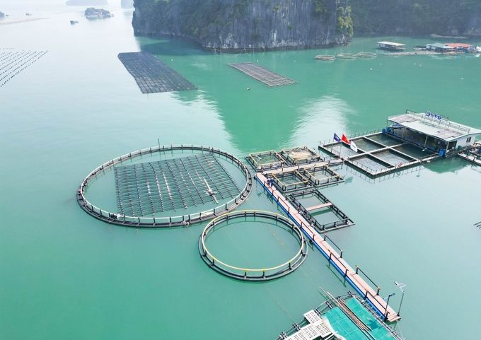 Quảng Ninh đi sớm, phải về đích sớm